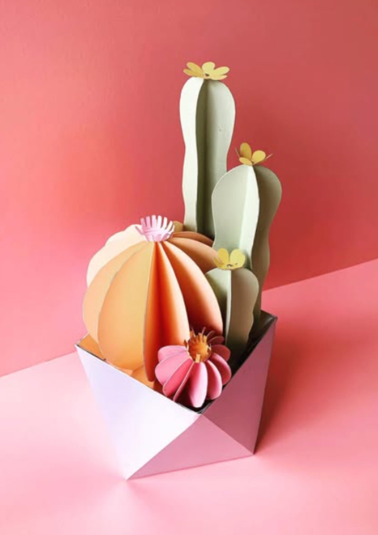 Mini Cactus in Pastels